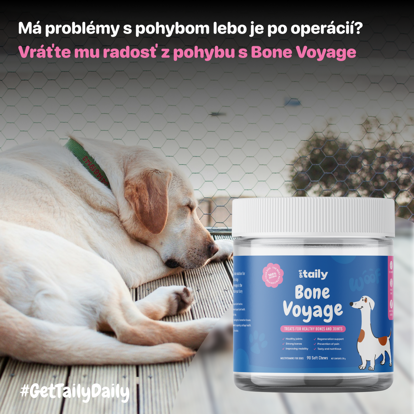 Bone Voyage - Pamlsky pre zdravé kĺby a kosti.