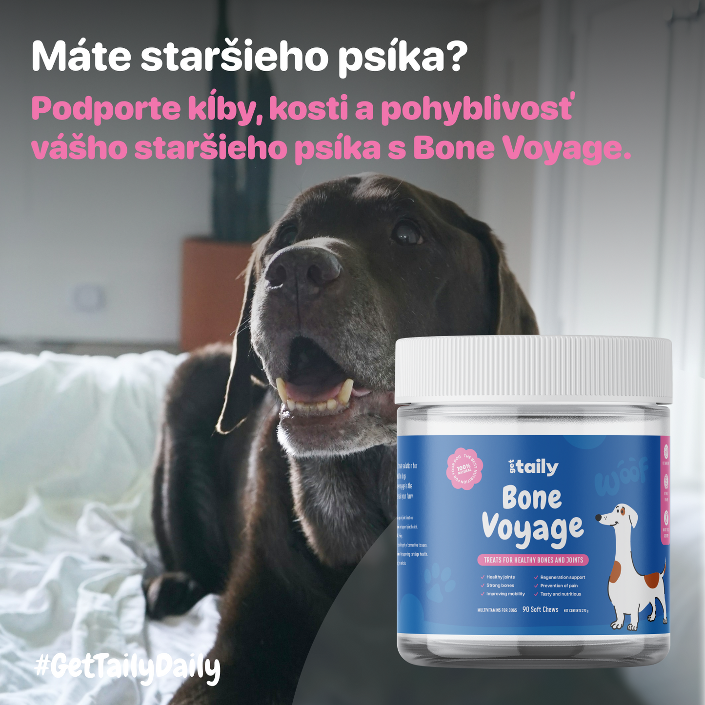 Bone Voyage - Pamlsky pre zdravé kĺby a kosti.